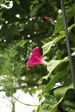 ����ǣţ��