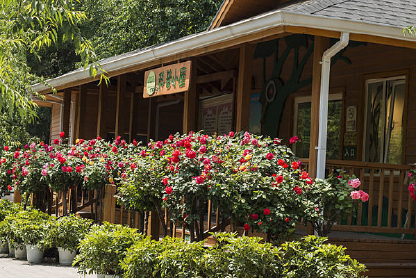 ����С��