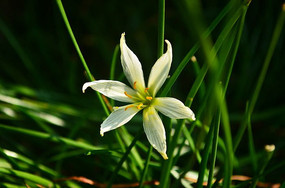 �����羰ͼƬ