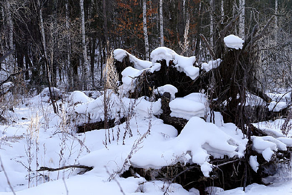 ħ���ѩ����