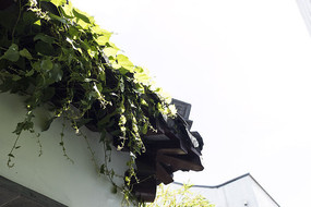 ��ɽ����