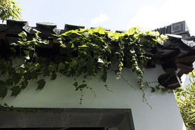 ��ɽ������