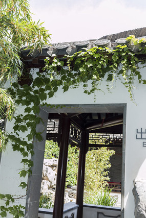 ��ɽ��Զ��