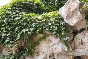 ��ɽ������