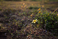 ����Ϧ��