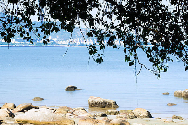 �����¿���