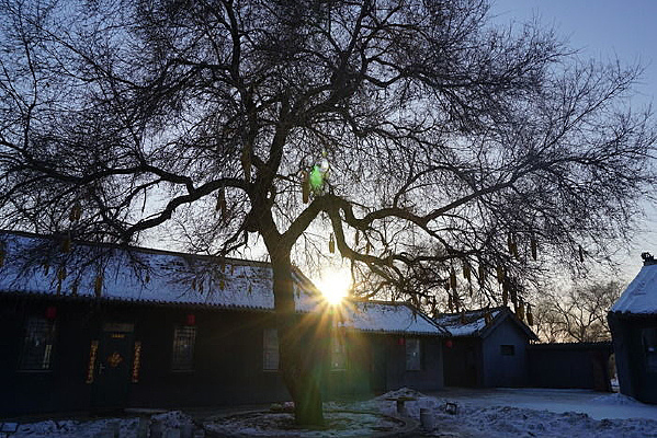 �ĺ�Ժ��������