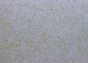 ˿������ֽ������������