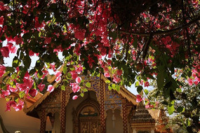 ����ǰ������÷