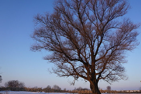 ��ڡ���Ĵ���