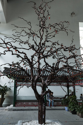 ��Ը������