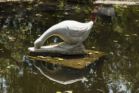 Ѽ����ʳ����