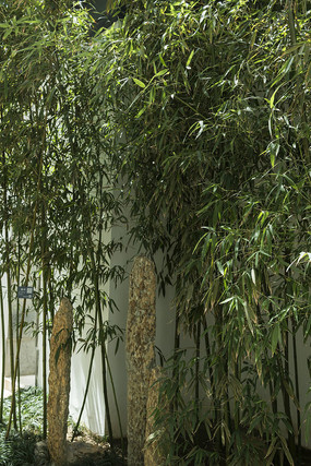 ԰�־�������