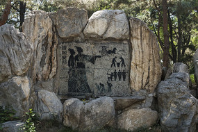 �ι�����赿�