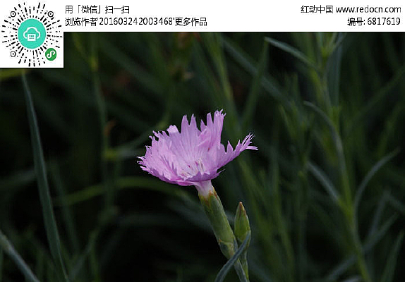 �뿪�ķ�ʯ��