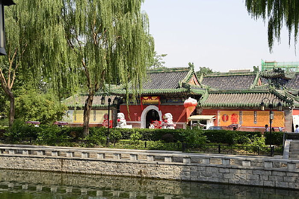 ����ʲɲ����������