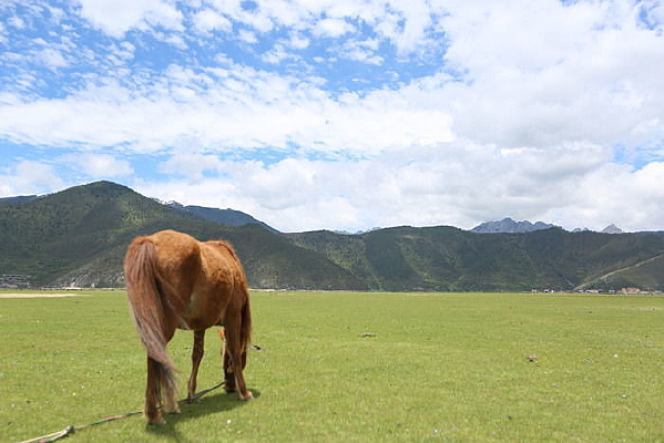 ��ԭɽ������