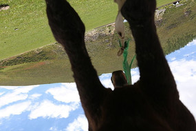 �������ĽŲ�