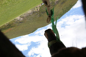 ������������