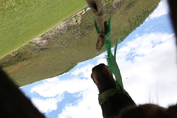 ������������