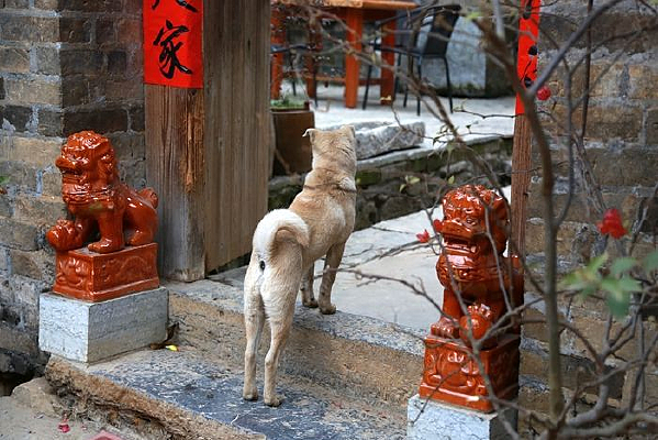 ����ǰ�Ĺ�