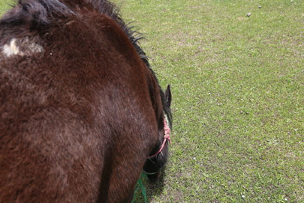 ���ӵ���