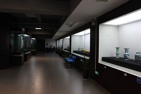 �Ŷ�չʾ����