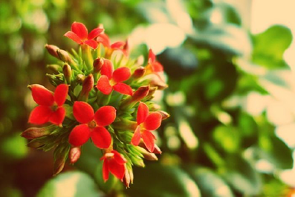 ����ů��