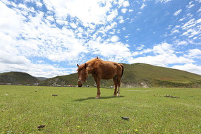 ��������µ���