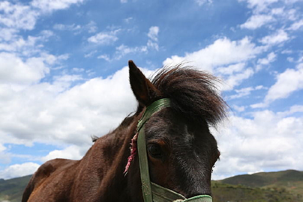 ���Ķ���