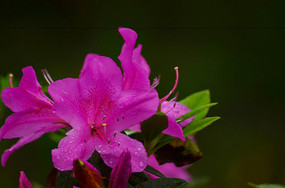 ŭ�ŵĶž黨��д