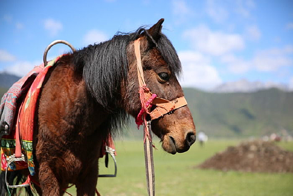 �����۹�