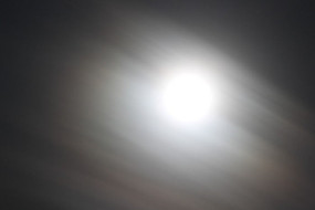 ���Ƹ���