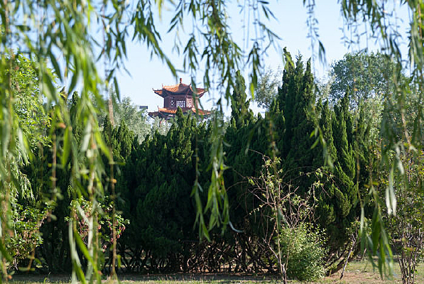 ����԰��