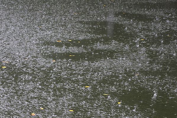 ���к���