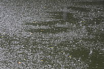 ���к���