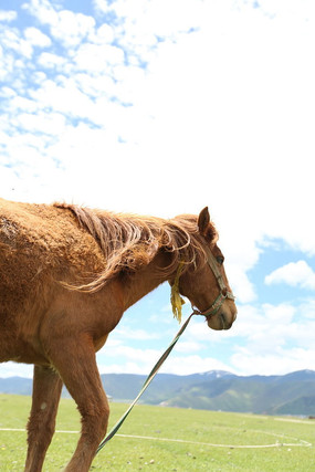 ���ŵ���