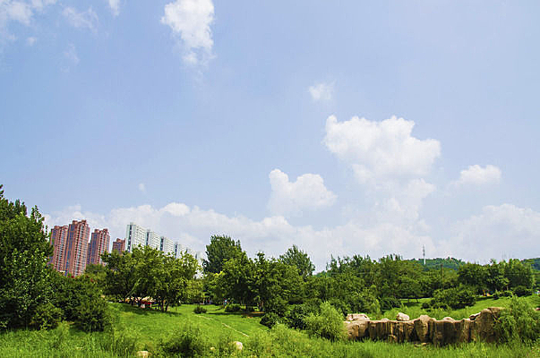 ��ɽ��̩��԰�����ľ���סլ¥Ⱥ�������