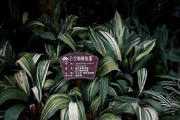 ����֩�뱧��