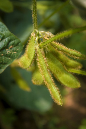 ���̵Ķ���