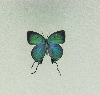 ������ҵ�