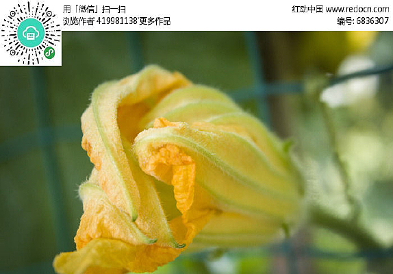 �������ŵ��Ϲϻ���