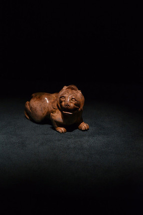 ������ʨ