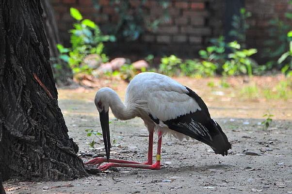 �����q��