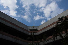 ��ѧ¥�Ͽ�����