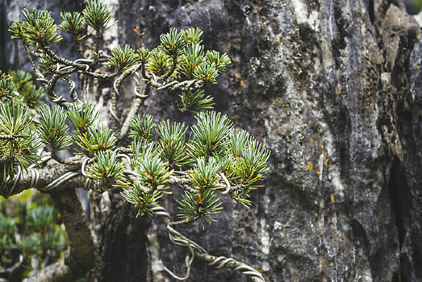 ��ɽ�ԵĴ�������