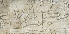 ����������