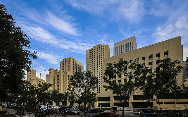 ¥Ⱥ������