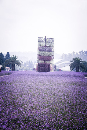 ���޲ݻ������ʻ�����