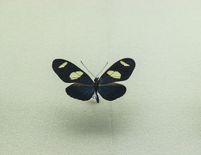 ����˨���